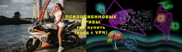 сатива Дмитров