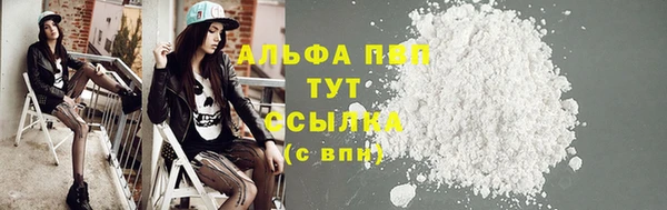 PSILOCYBIN Луховицы