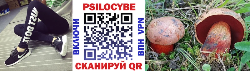 Псилоцибиновые грибы Psilocybine cubensis  где найти   Назарово 