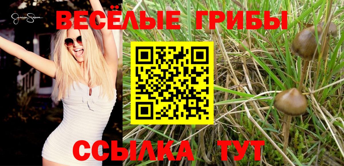 Галлюциногенные грибы Cubensis  Псилоцибиновые грибы ЛСД  Вход с VPN  Назарово 