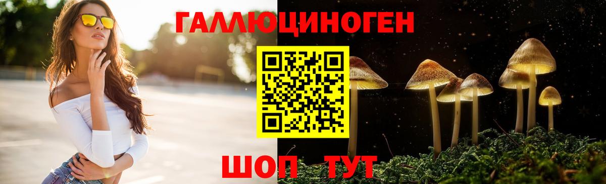 Псилоцибиновые грибы Cubensis Назарово